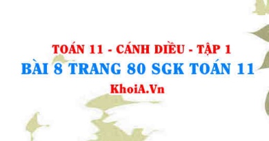 Bài 8 trang 80 SGK Toán 11 tập 1 Cánh Diều